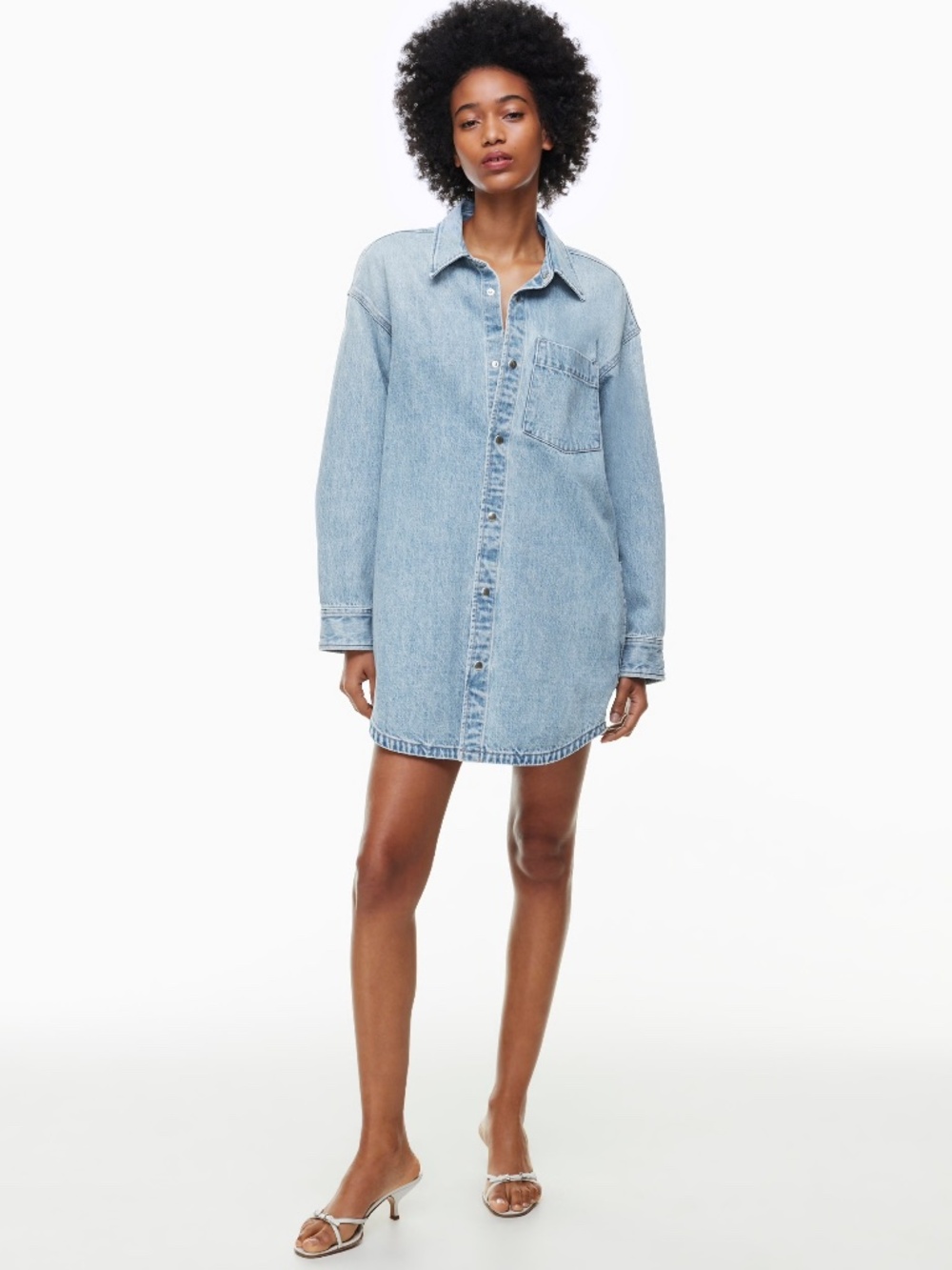 Aritzia Denim Shirt Dress